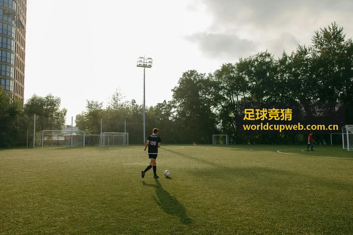 足球竞猜联赛竞争格局分析